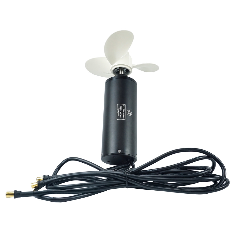 Efoil Remote Control Waterproof - Бесколлекторный двигатель Flipsky 65161, 12 мм,
