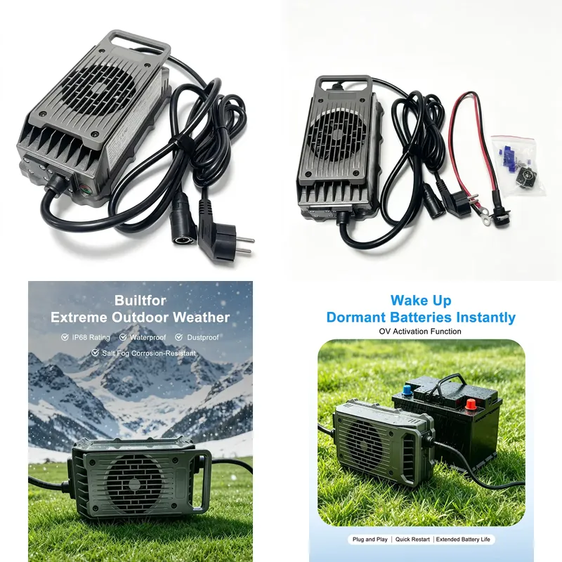 Зарядное устройство для электр – обзор и цена Electric Surfboard Battery Charger