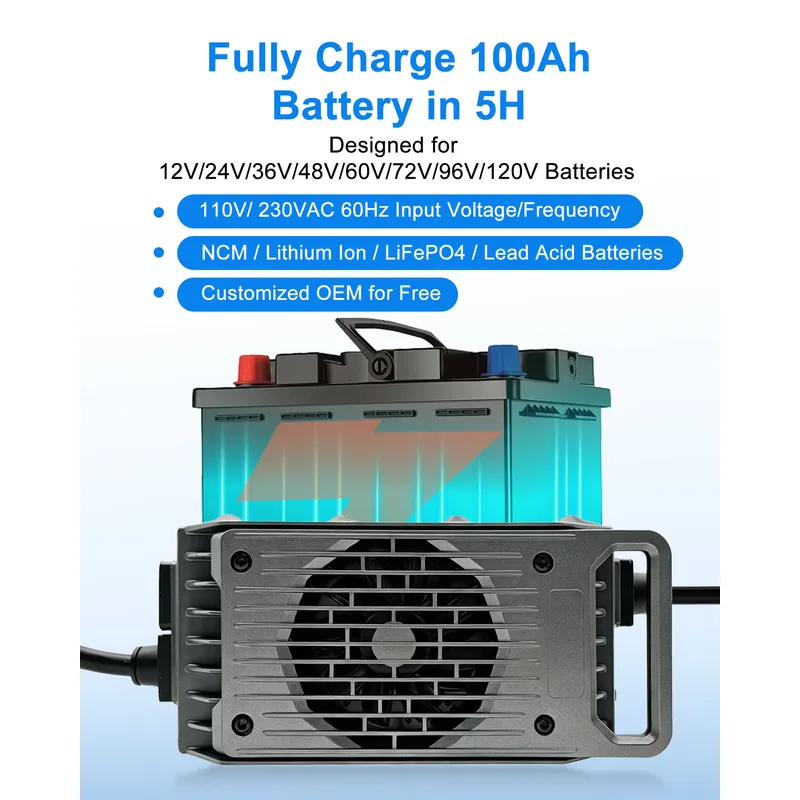 LNLEE LN1500W 48V 25A Легкое п – обзор и цена Electric Surfboard Battery Charger